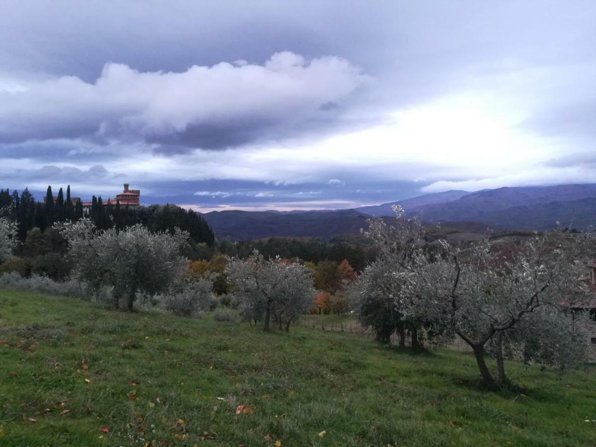 Castello Di Valenzano Villa อาเรซโซ ภายนอก รูปภาพ